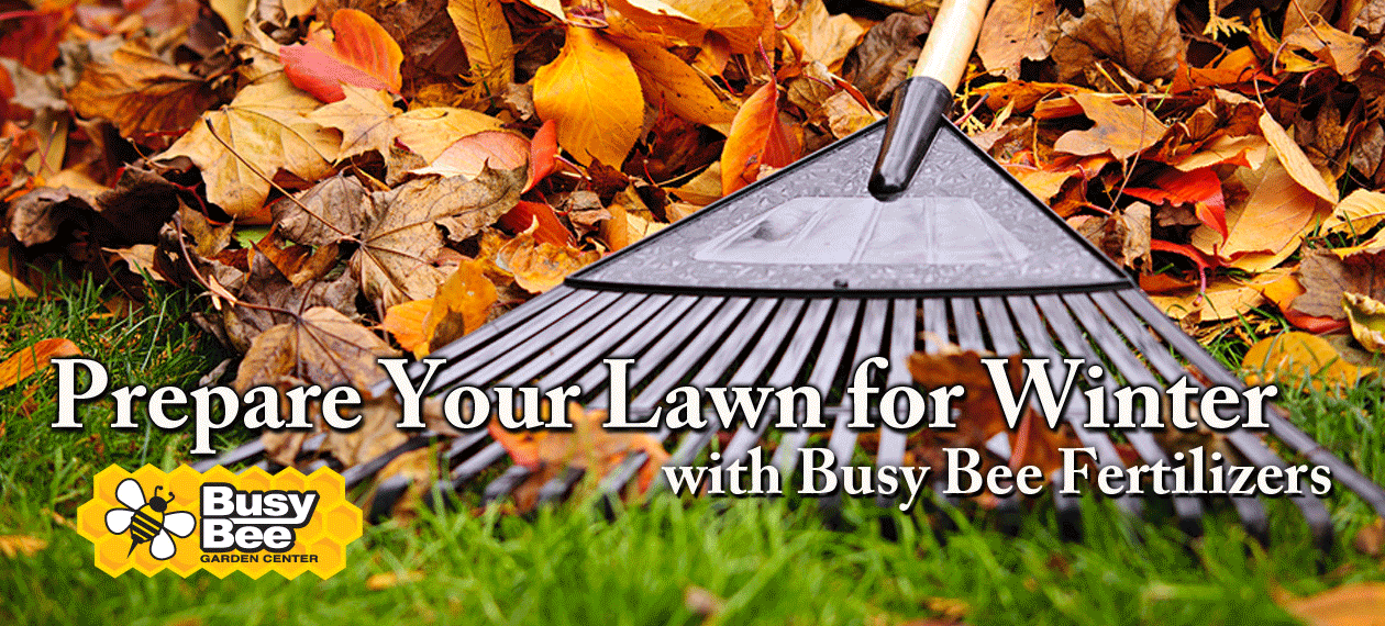 Gear up For Fall with BusyBeeCrestwood