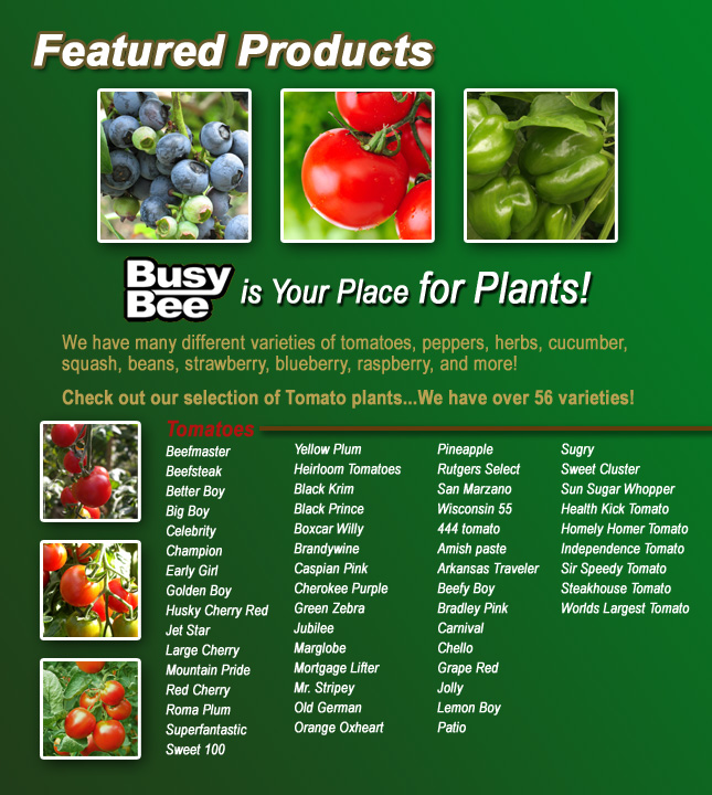 Featured Nursery Products, spring, summer, fall, and winter